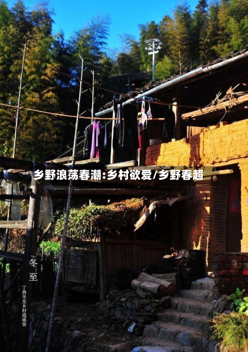 乡野浪荡春潮:乡村欲爱/乡野春超