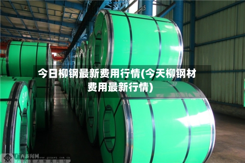 今日柳钢最新费用行情(今天柳钢材费用最新行情)-第2张图片