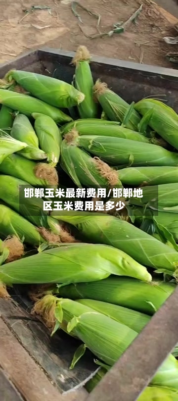 邯郸玉米最新费用/邯郸地区玉米费用是多少