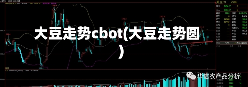 大豆走势cbot(大豆走势圆)
