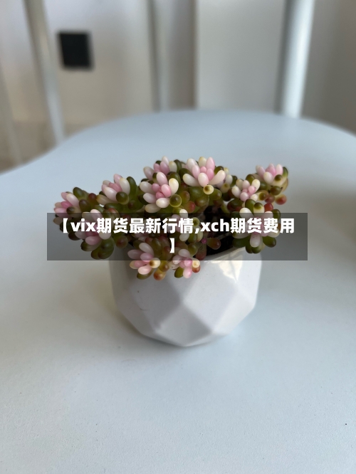【vix期货最新行情,xch期货费用】