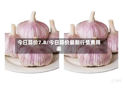 今日蒜价7.8/今日蒜价最新行情费用表-第2张图片