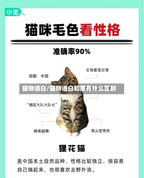 猫物语白/猫物语白和黑有什么区别-第2张图片
