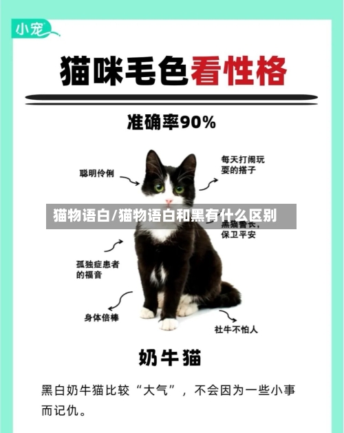 猫物语白/猫物语白和黑有什么区别