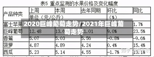 2020巨峰葡萄走势/2021年巨峰葡萄走势-第2张图片
