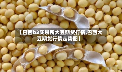 【巴西b3交易所大豆期货行情,巴西大豆期货行情走势图】-第2张图片