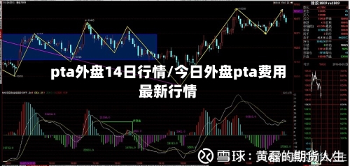 pta外盘14日行情/今日外盘pta费用最新行情-第2张图片