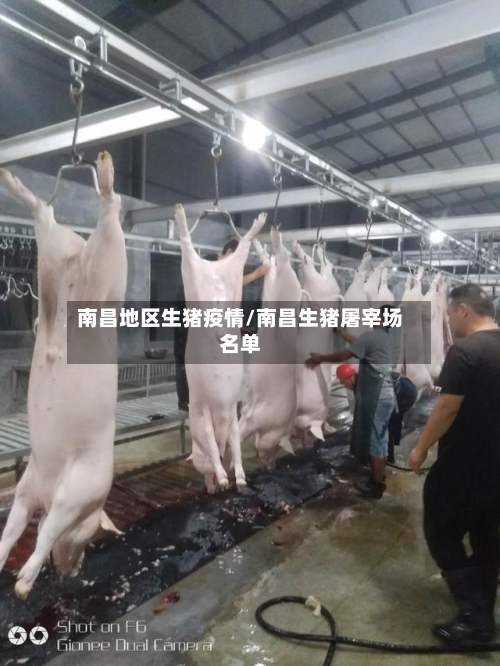 南昌地区生猪疫情/南昌生猪屠宰场名单-第2张图片