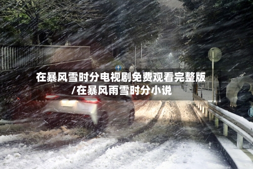 在暴风雪时分电视剧免费观看完整版/在暴风雨雪时分小说