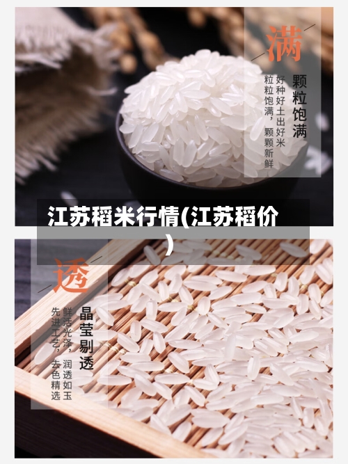 江苏稻米行情(江苏稻价)-第2张图片
