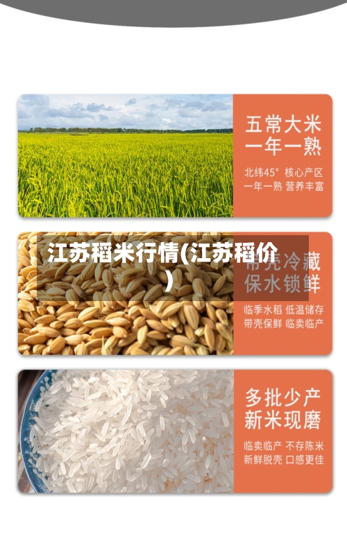 江苏稻米行情(江苏稻价)-第3张图片