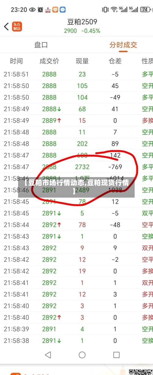 【豆粕市场行情动态,豆粕现货行情】
