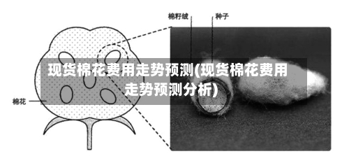 现货棉花费用走势预测(现货棉花费用走势预测分析)
