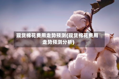 现货棉花费用走势预测(现货棉花费用走势预测分析)-第2张图片