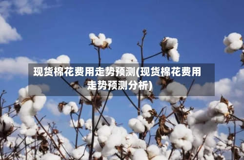 现货棉花费用走势预测(现货棉花费用走势预测分析)-第3张图片
