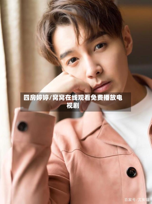 四房婷婷/窝窝在线观看免费播放电视剧-第3张图片