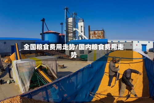 全国粮食费用走势/国内粮食费用走势-第2张图片