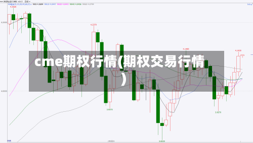 cme期权行情(期权交易行情)