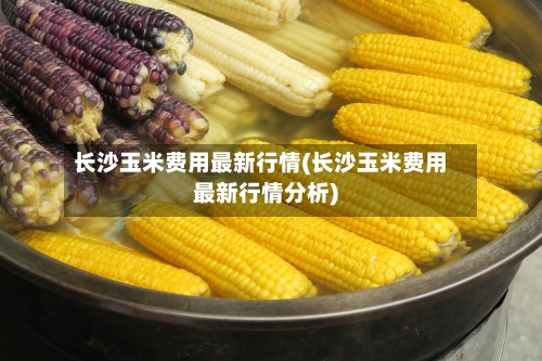 长沙玉米费用最新行情(长沙玉米费用最新行情分析)