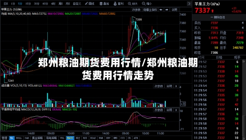 郑州粮油期货费用行情/郑州粮油期货费用行情走势