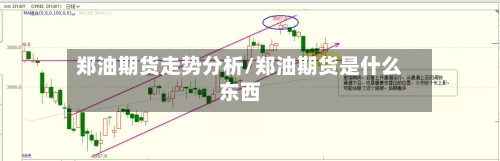 郑油期货走势分析/郑油期货是什么东西