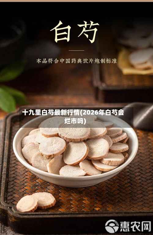 十九里白芍最新行情(2026年白芍会烂市吗)