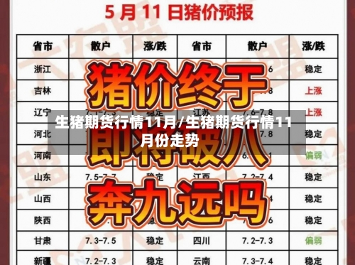 生猪期货行情11月/生猪期货行情11月份走势-第2张图片