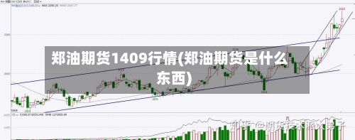 郑油期货1409行情(郑油期货是什么东西)-第3张图片