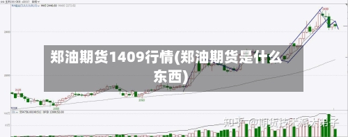 郑油期货1409行情(郑油期货是什么东西)-第2张图片