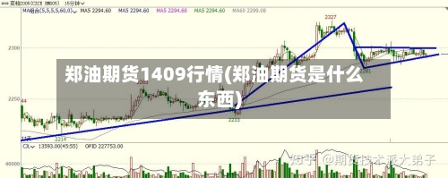 郑油期货1409行情(郑油期货是什么东西)