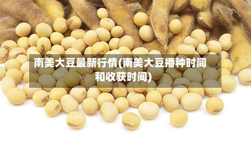 南美大豆最新行情(南美大豆播种时间和收获时间)-第3张图片