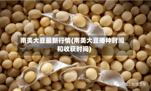 南美大豆最新行情(南美大豆播种时间和收获时间)-第2张图片