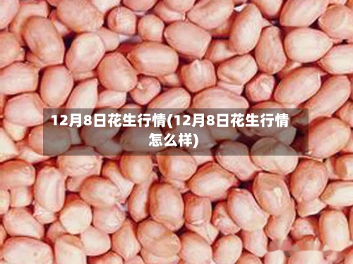 12月8日花生行情(12月8日花生行情怎么样)