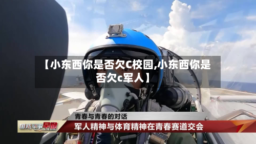 【小东西你是否欠C校园,小东西你是否欠c军人】