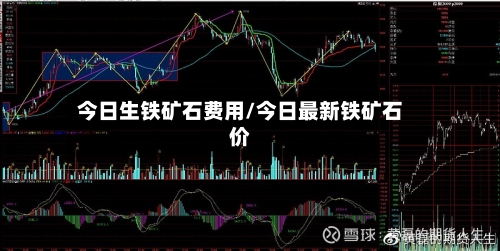 今日生铁矿石费用/今日最新铁矿石价