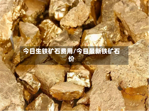 今日生铁矿石费用/今日最新铁矿石价-第3张图片