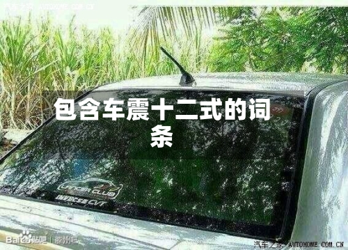 包含车震十二式的词条-第3张图片