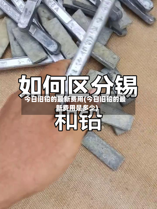 今日旧铅的最新费用(今日旧铅的最新费用是多少)-第2张图片