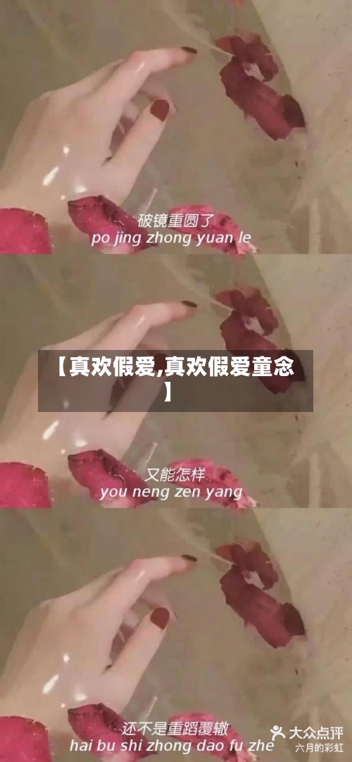 【真欢假爱,真欢假爱童念】