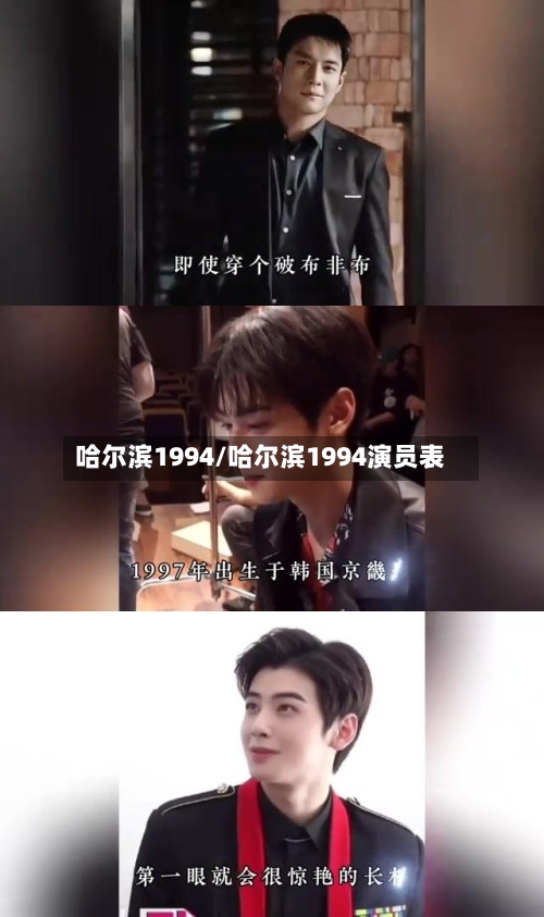 哈尔滨1994/哈尔滨1994演员表-第3张图片