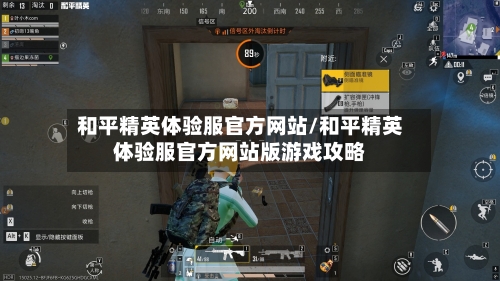 和平精英体验服官方网站/和平精英体验服官方网站版游戏攻略