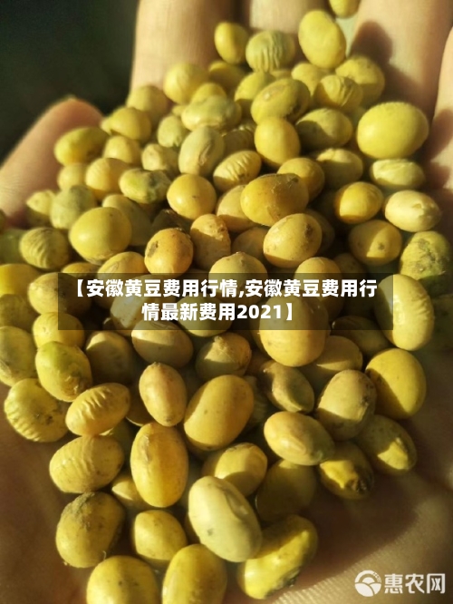 【安徽黄豆费用行情,安徽黄豆费用行情最新费用2021】-第3张图片