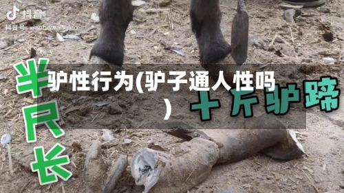 驴性行为(驴子通人性吗)