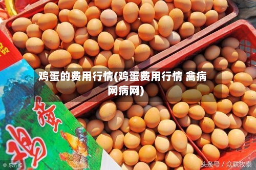 鸡蛋的费用行情(鸡蛋费用行情 禽病网病网)