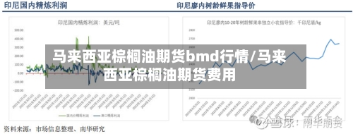 马来西亚棕榈油期货bmd行情/马来西亚棕榈油期货费用-第2张图片