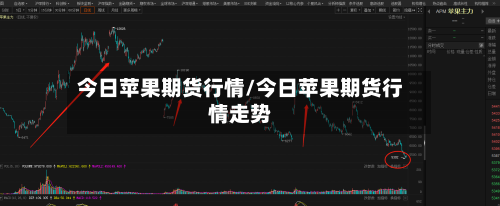 今日苹果期货行情/今日苹果期货行情走势-第2张图片