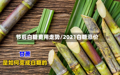 节后白糖费用走势/2021白糖涨价