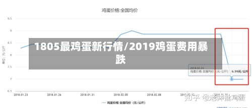 1805最鸡蛋新行情/2019鸡蛋费用暴跌