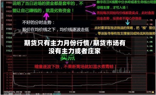 期货只有主力月份行情/期货市场有没有主力或者庄家