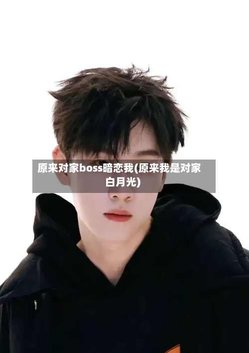 原来对家boss暗恋我(原来我是对家白月光)-第3张图片